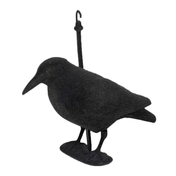 Krähe beflockt
