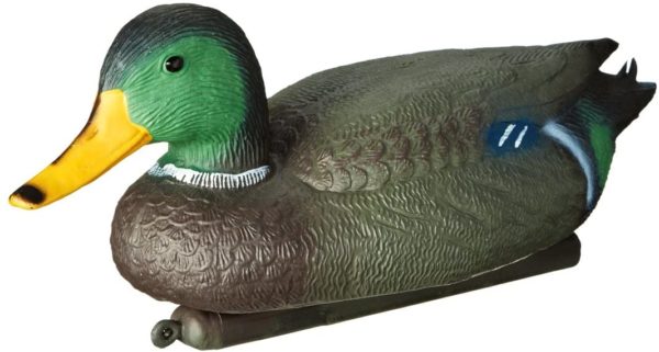 Ente